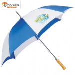 Universal Auto Umbrella