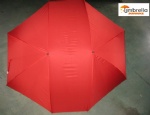 Double Lover Umbrella