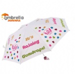 Compact Umbrella