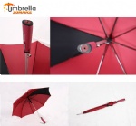 Virginia Umbrella