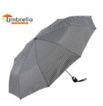 Automatic Open & Close Umbrella