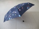 Mini Foldable Umbrella